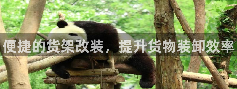 杏运体育不给出款：便捷的货架改装，提升货