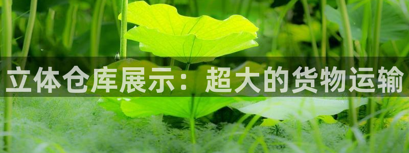 杏运平台注册登录