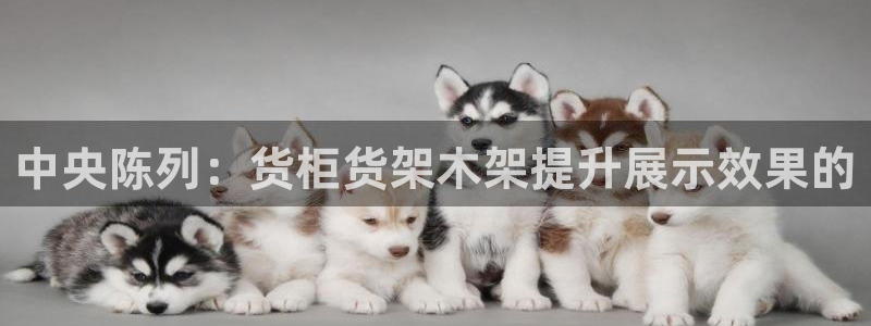 杏运平台招商：中央陈列：货柜货架木架提升