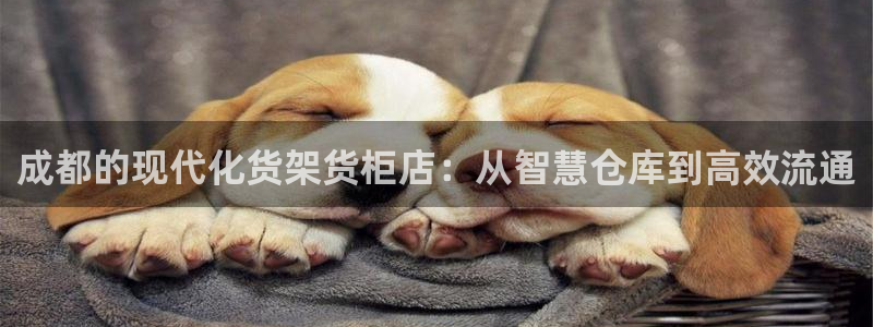 杏运娱乐平台注册地址：成都的现代化货架货