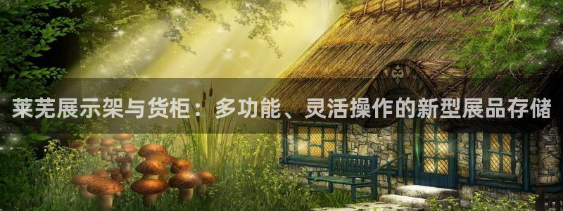 杏运相伴：莱芜展示架与货柜：多功能、灵活