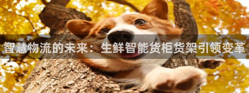 杏运注册平台