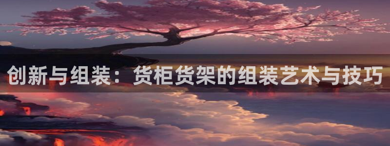 杏运代理：创新与组装：货柜货架的组装艺术