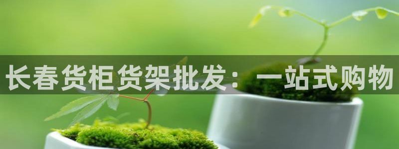 杏运体育：长春货柜货架批发：一站式购物