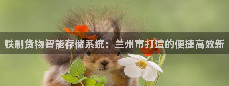 杏运汽车招商