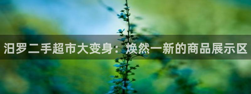 杏运注册平台