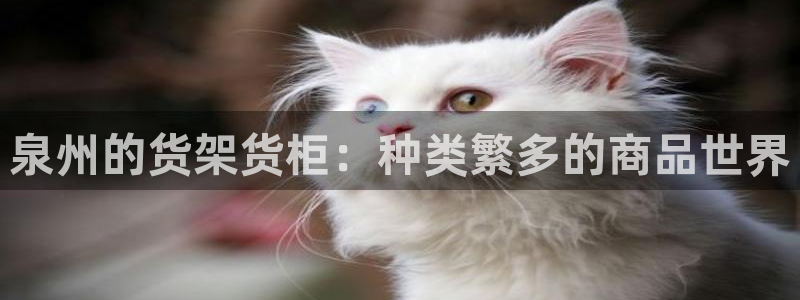 杏运体育官方网址登录