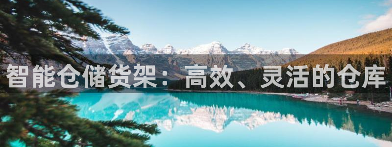 杏运注册登录地址