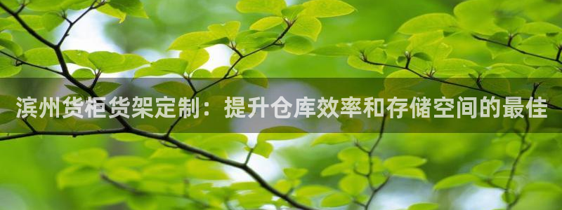 杏运平台登陆：滨州货柜货架定制：提升仓库