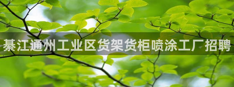 杏运平台注册：綦江通州工业区货架货柜喷涂