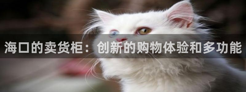 杏运娱乐平台注册地址：海口的卖货柜：创新