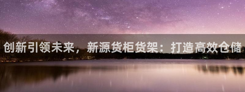 杏运平台代理：创新引领未来，新源货柜货架